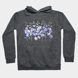 purple larkspur delphinium field watercolor Hoodie